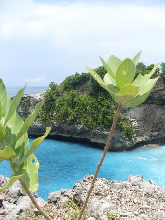 Dream Beach Cottages Lembongan Extérieur photo